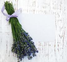 lavender flowers with card photo