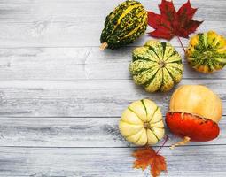 Pumpkins with autumn leaves photo