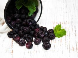 Cup with Blackberries photo