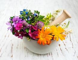 wild flower and herb leaf in mortar photo