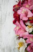 alstroemeria flowers on a table photo