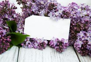 Lilac flowers with empty tag photo