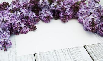 Lilac flowers with empty card photo