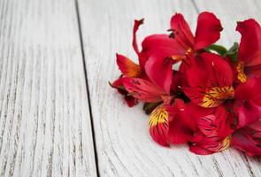 alstroemeria flowers on a table photo