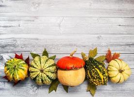 Pumpkins with autumn leaves photo