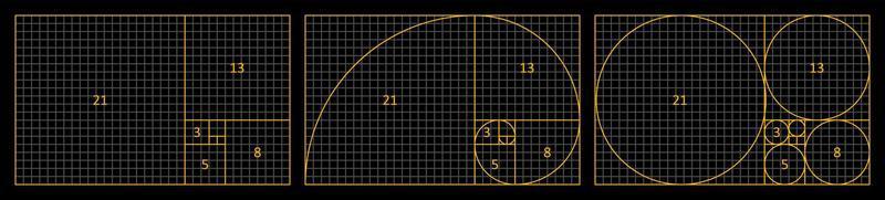 Conjunto fibonacci de proporción áurea. una espiral de armonía, composición, logos y diseños. proporciones correctas. vector