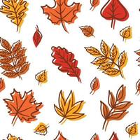 hand drawn autumn leaves seamless pattern vector