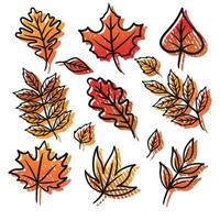 hand drawn autumn leaves seamless pattern vector