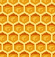 Honeycombs seamless pattern. Hexagonal wax cells with honey.