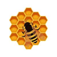 Honey bee and honeycombs in the shape of a hexagon illustration vector