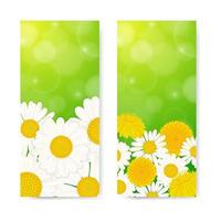 Spring vertical banners with daisies and dandelions vector