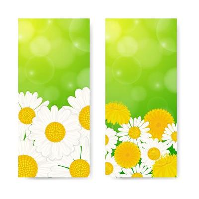 Spring vertical banners with daisies and dandelions