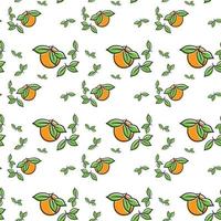 textura de patrones sin fisuras de fruta naranja con hoja vector