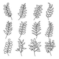 Collection of leaf plant forest herbs tropical leaves vector