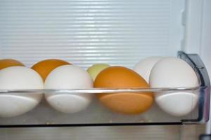 White and red eggs in the refrigerator photo