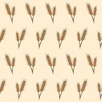 Wheat seamless pattern background hand drawn vector