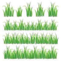 conjunto de hierba verde aislado sobre fondo blanco vector