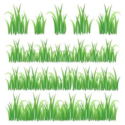 Set of Green Grass Isolated on White Background