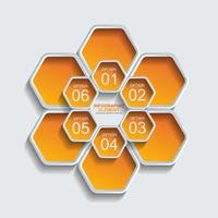 hexagon infographic element vector template