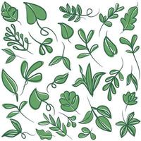 Set of botanical floral leaves, plants vector