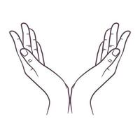 Line art drawing of praying hand. Praying hands vector