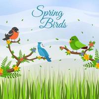 Spring Birds Background vector