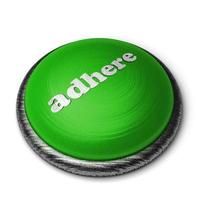 adhere word on green button isolated on white photo