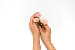 Pink flower, rose in female hand on white background. Concept of female beauty photo