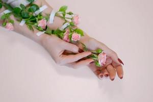 Women's beautiful hands with pink rose flowers on a white background photo