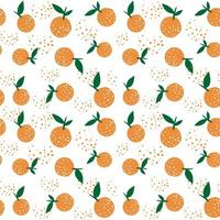 Tropical seamless pattern with orange fruit vector