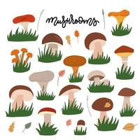 Forest mushrooms with gress flat illustrations set. Edible and fungi color drawing. Cartoon chanterelles, boletus edulis, russula, champignon isolated on white background. Flat vector illustration.