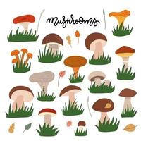 Forest mushrooms with gress flat illustrations set. Edible and fungi color drawing. Cartoon chanterelles, boletus edulis, russula, champignon isolated on white background. Flat vector illustration.