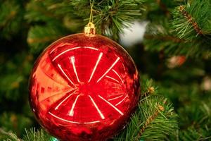 bolas rojas en el árbol de navidad foto