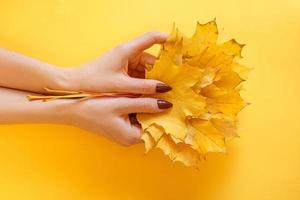 hermosas manos femeninas en un fondo, sosteniendo hojas amarillas de otoño, el concepto de cuidado de una piel de manos foto