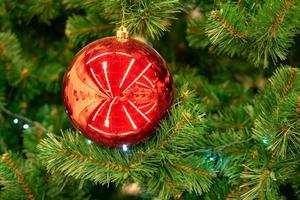 bolas rojas en el árbol de navidad foto