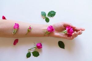 Top view of female hands holding beautiful rose in palm and in hand, green photo