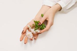 The girl's hands are holding flowers on a white background. photo