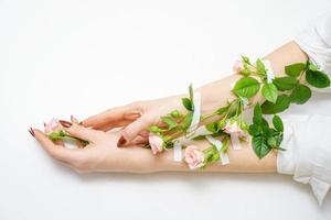capullos de rosa de la mano en las manos, sobre fondo blanco, aislante, concepto de cuidado de la piel de las manos foto