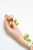 hermosa mano femenina con rosas rosadas sobre fondo blanco, concepto de salón de belleza foto