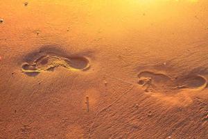 footprints in the sand on the beach at sunset photo