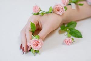 hermosa mano femenina delgada se encuentra con flores de rosa sobre un fondo blanco. foto