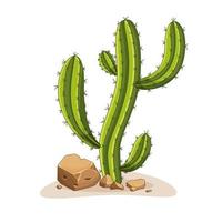 Cactus with thorns and stones. Mexican green plant with spines and rocks. Element of the desert and southern landscape. Cartoon flat vector illustration. Isolated on white background.