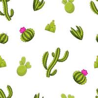 Seamless pattern cactus and stones with vector green cactus and succulents. Desert-themed seamless pattern with cactus and flowers. Vector illustration