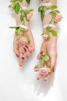 beautiful female hands with pink rose flowers isolated. concept photo