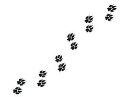 Fox feet tracks. Animals paws and sillhouetts. Vector illustration