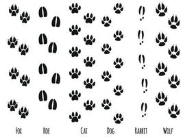 Animals feet tracks. Animals paws and sillhouetts. Vector illustration