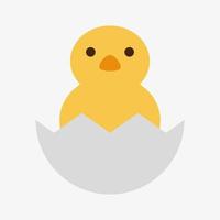 Chick in egg vector illustration isolated on white background. Easter symbol