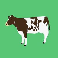 Simple vector illustration of brown and white cow isolated on green background. Cartoon style cow icon