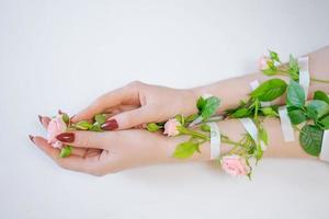 Women's beautiful hands with pink rose flowers on a white background photo