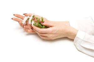 beautiful women's slender hands with white chrysanthemums in their hands photo